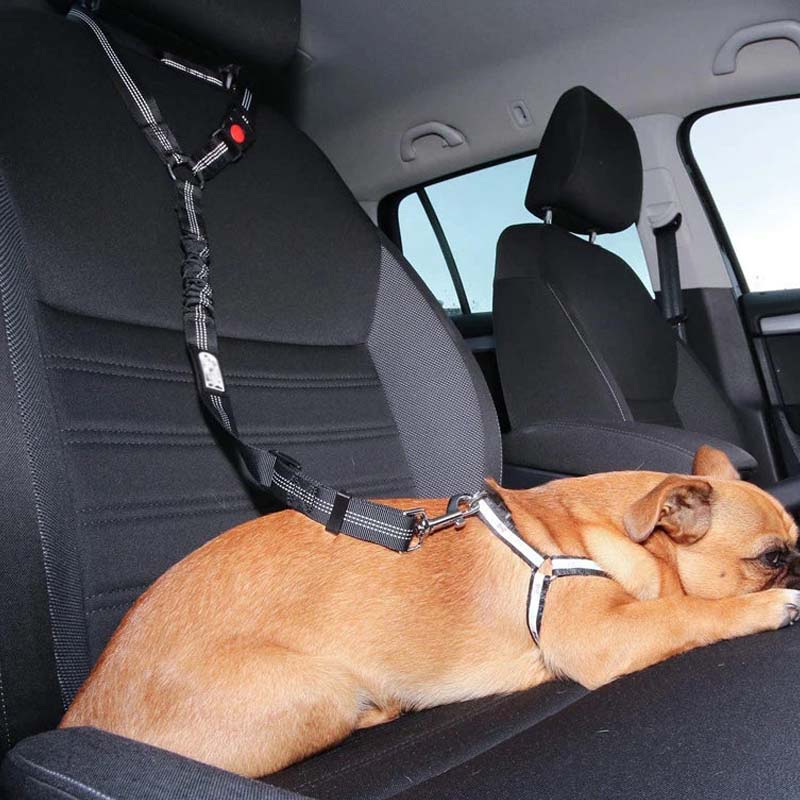 Slitesterkt bilbelte for kjæledyr. Optimal sikkerhet og trygghet for hund og katt i bil.
