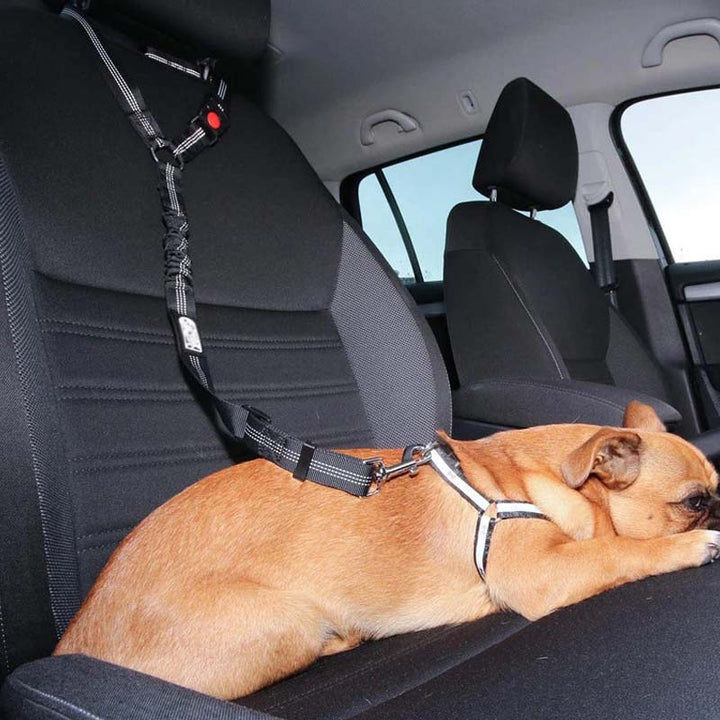Slitesterkt bilbelte for kjæledyr. Optimal sikkerhet og trygghet for hund og katt i bil.