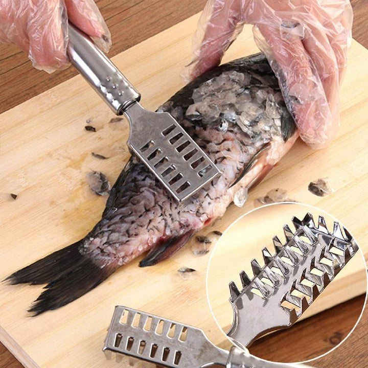 Ergonomisk kjøkkenredskap: effektiv fiskeskalerer i rustfritt stål for rask fiskerengjøring.