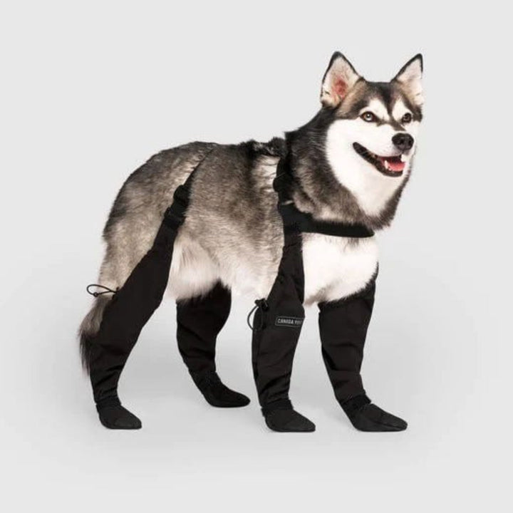 Vanntette hundesko perfekte som vintersko eller sommersko for fotturer. Potebeskyttelse for sport hund.