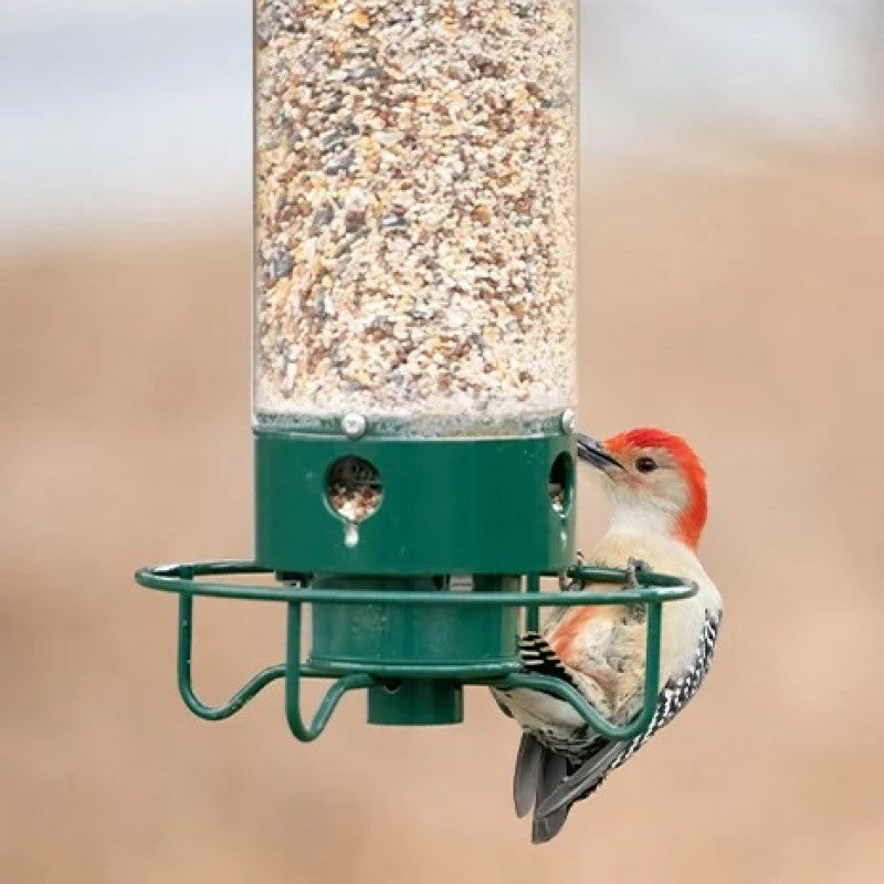 Grønn, ekornsikker fuglemater med unik spinnfunksjon. Perfekt for å tiltrekke og mate hagefugler trygt.