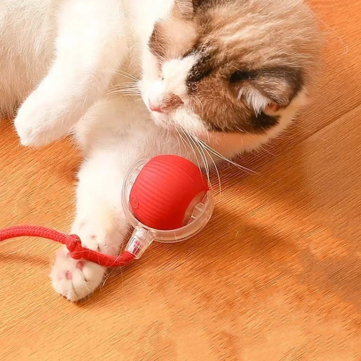 Smart interaktiv lekeball i grått for katt og hund. Automatisk leketøy som stimulerer aktivitet og innendørs lek.