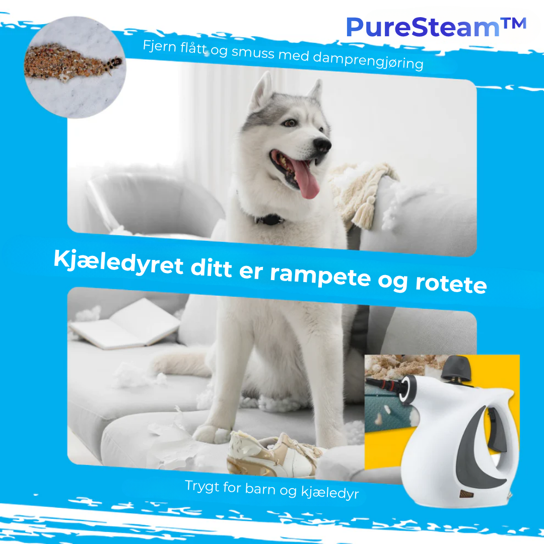 Dampvasker med diverse munnstykker for allsidig rengjøring av kjøkken, bad og vanskelige områder.
