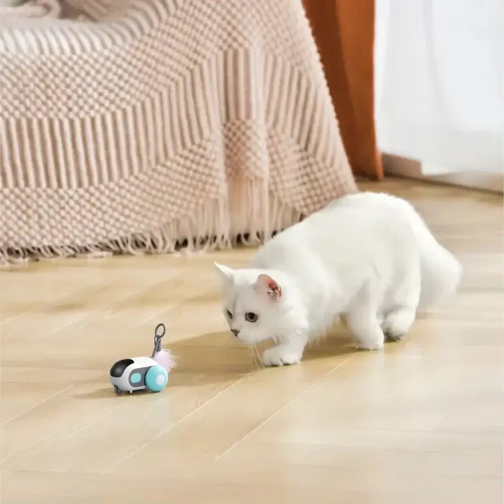 PurrBot 2.0 katteleke gir katter essensiell aktivitet, mental stimulering og underholdning.