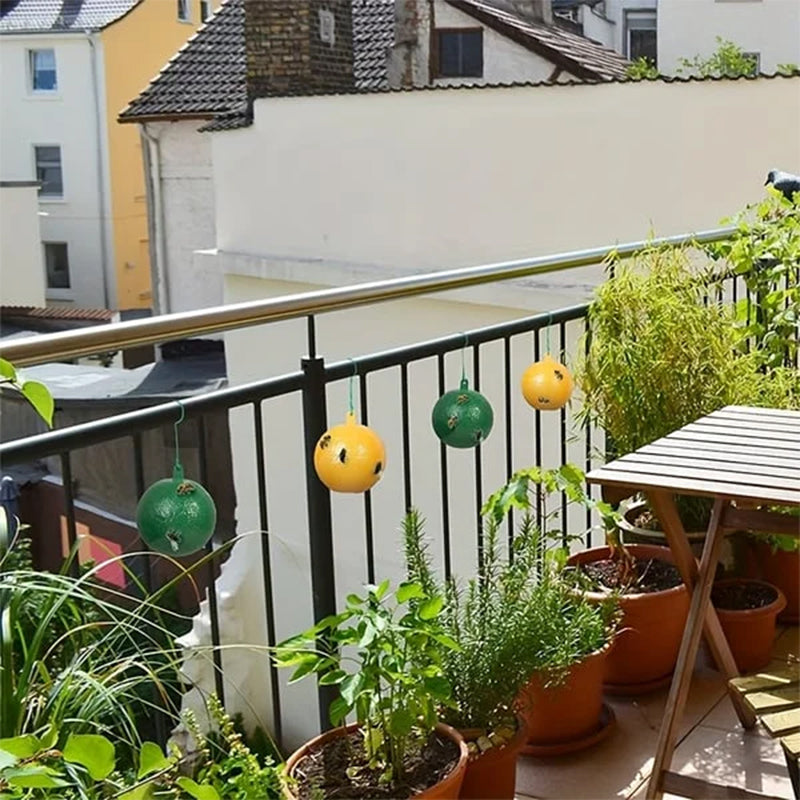 Effektive klebrige feller mot fruktfluer. Hengende design for planter, innendørs og utendørs.