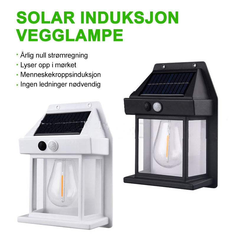 Praktisk hagebelysning med solcelle og LED, aktiveres av bevegelsessensor.