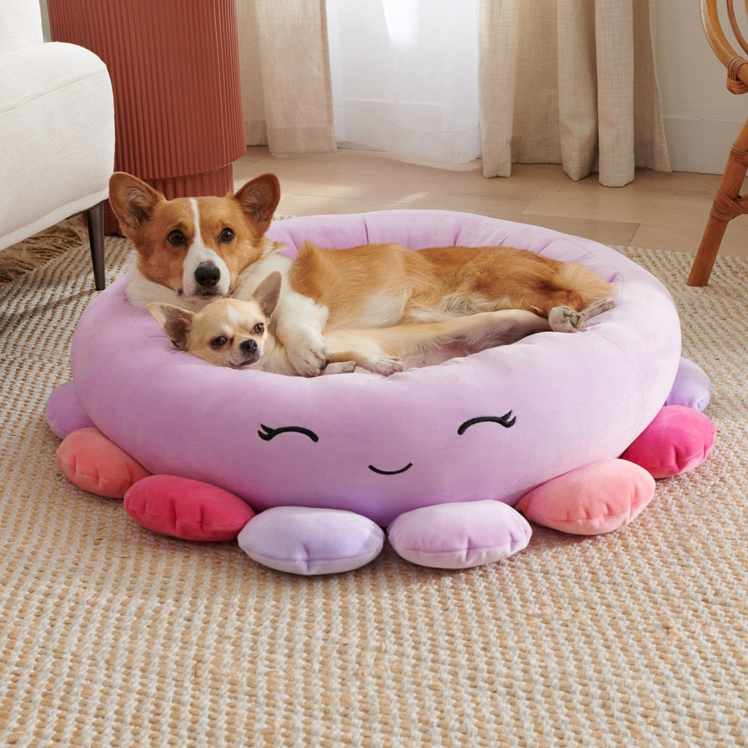 Gul plysj hundeseng (65cm) for liten hund. Beroligende og supermyk, perfekt for hvile.