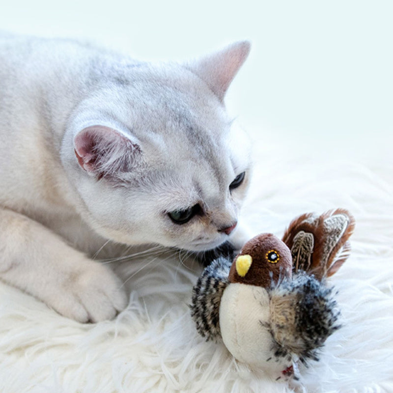 Katt som leker med kvitrende dyreleke, stimulerer sansene.