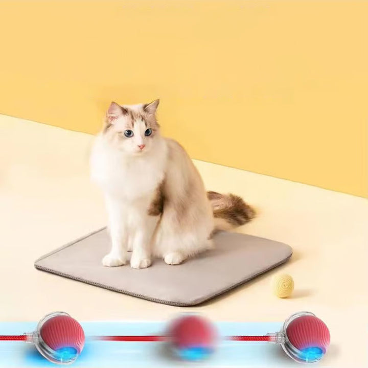 Rød smart katteball som beveger seg, holder katter aktive og engasjerte.