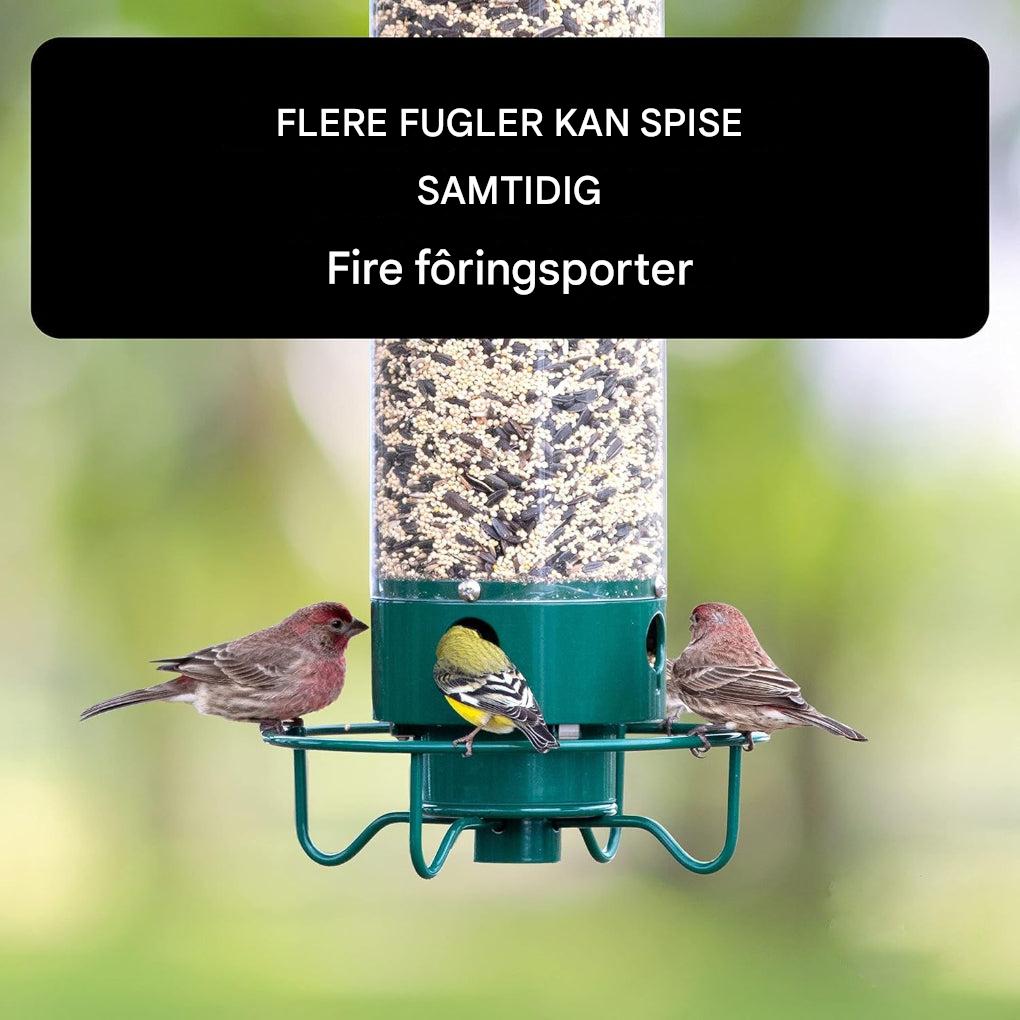 Hjemmets hage med ny ekornsikker fuglemater. En oase for småfugler og naturopplevelser.