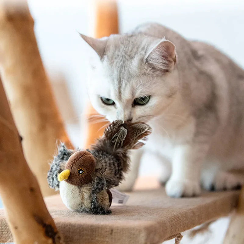Kvitrende fugleleke for katt, stimulerer jaktinstinkt og lek.