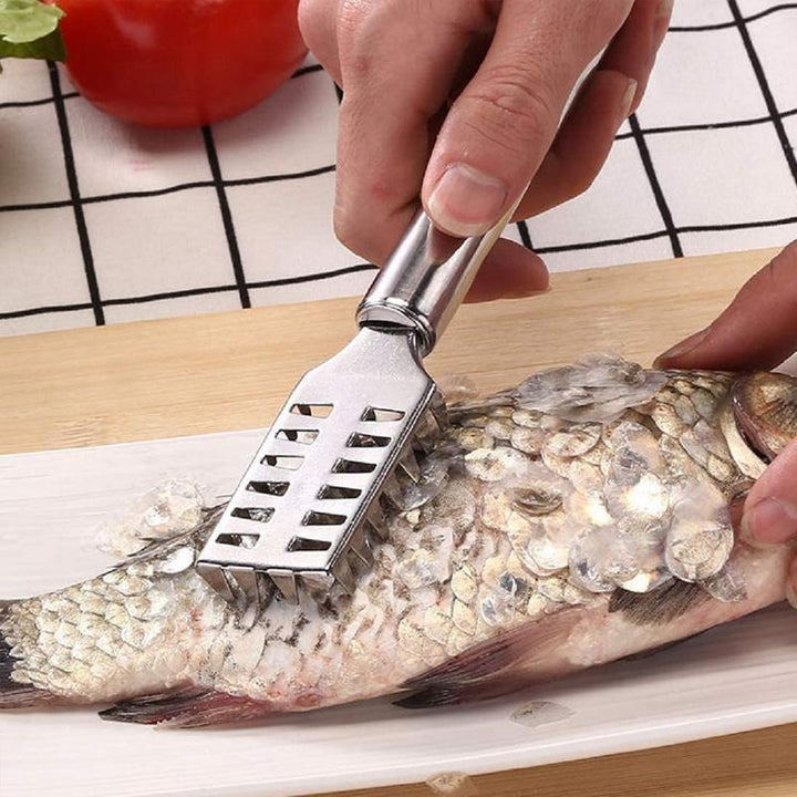 En rustfri stål fiskeskalerer på et rent kjøkken, klar for effektiv fiskerengjøring.