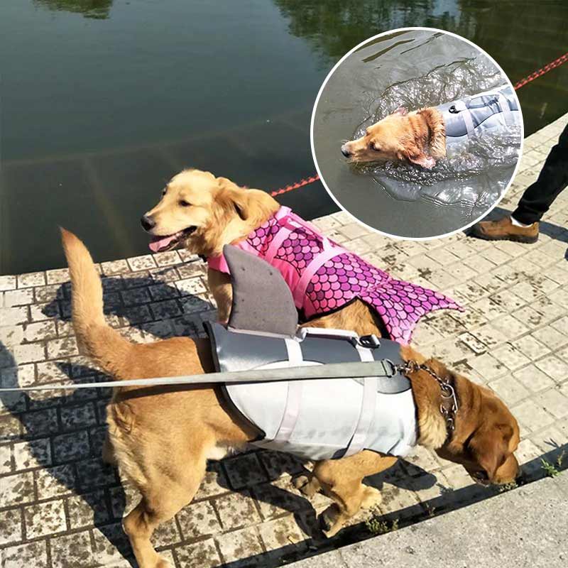 Sikker hunderedningsvest i gult for trygg svømming og lek i vannet.
