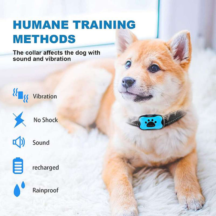 Nærbilde av treningsenhet på hundehalsbånd. Vibrasjon- og ultralydmodul for hund.
