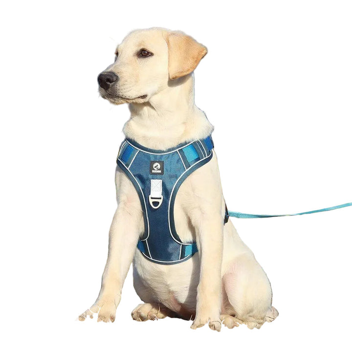 Komfortabel hundesele for trygge turer. Pustende og justerbar tursele for alle hunder.
