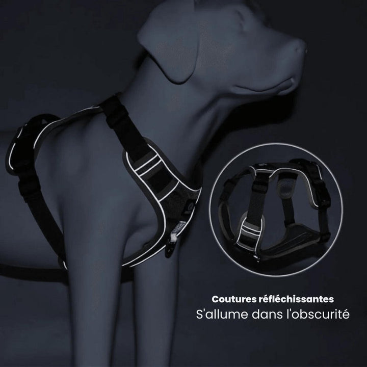 Sikker og komfortabel hundesele som gir din hund frihet og trygghet på hver tur. Reflekterende hundeutstyr.
