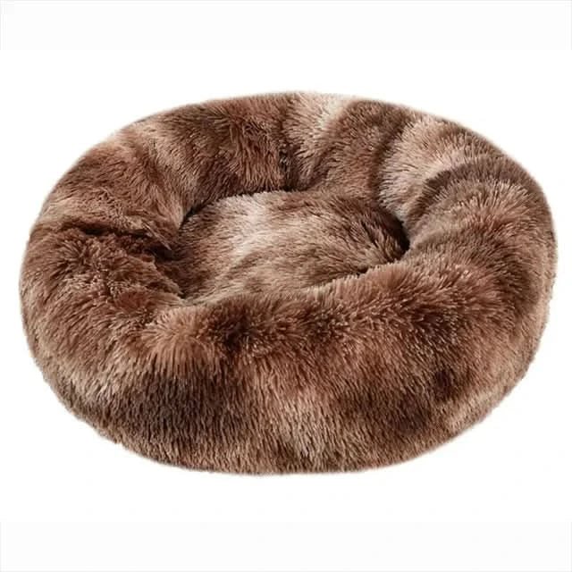 Elegant hundeseng med tykk hevet kant, gir optimal støtte og komfort for eldre hunder.