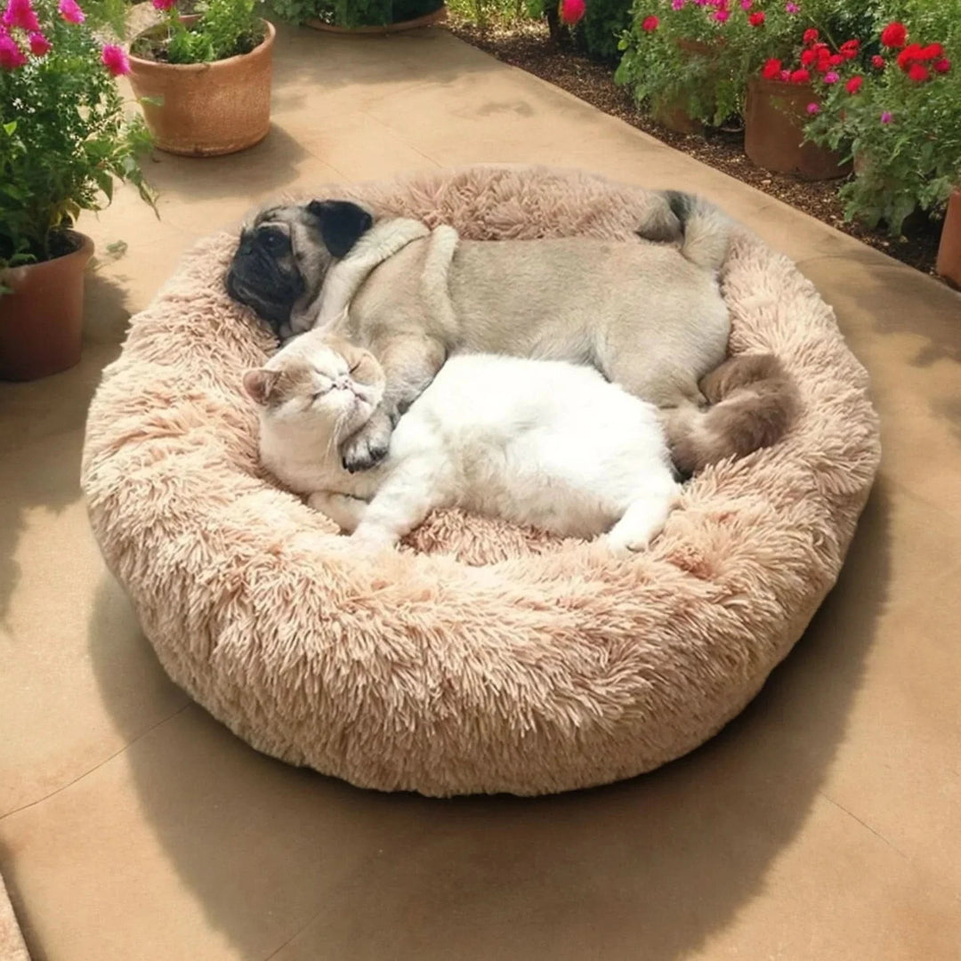 Plysj hundeseng for maksimal komfort, designet med støttende hevet kant for hodet.