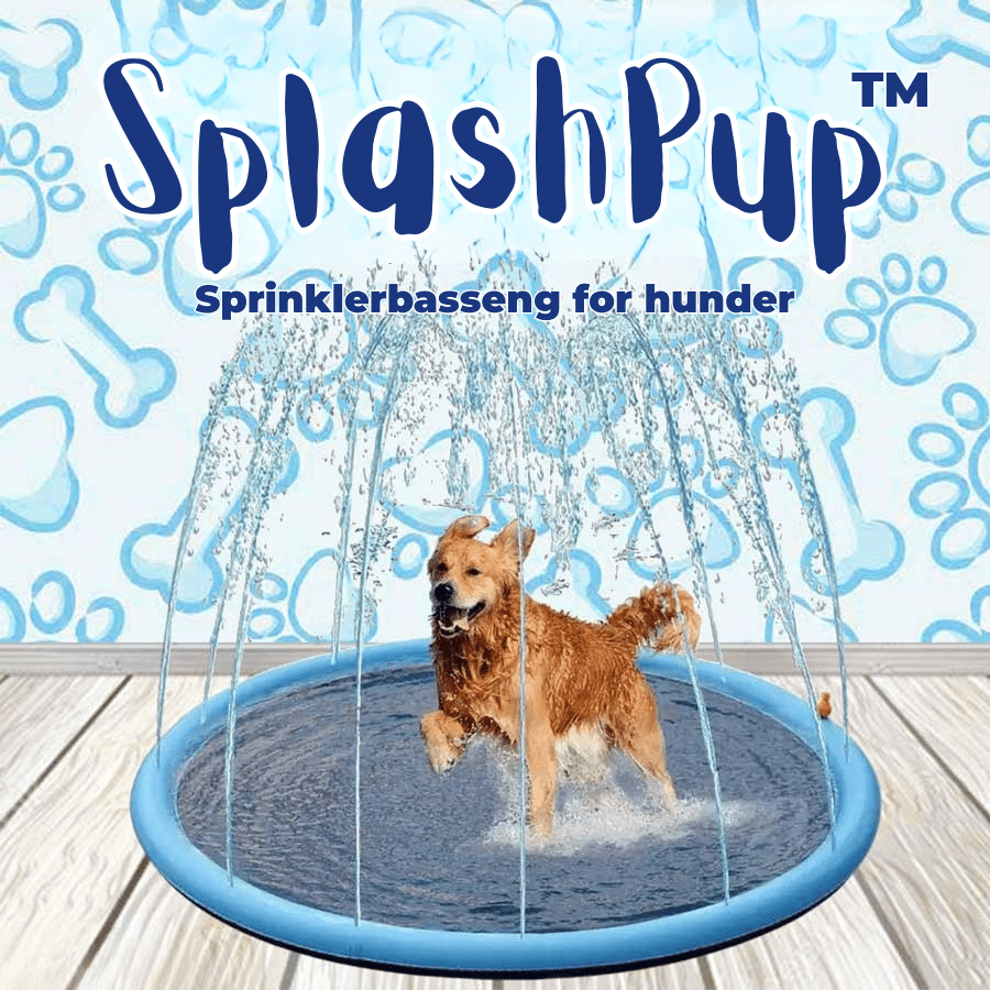 Sprinklerbasseng for hunder med sklisikker bunn, perfekt for avkjøling og vannlek i sommer. Blått hundebasseng utendørs.