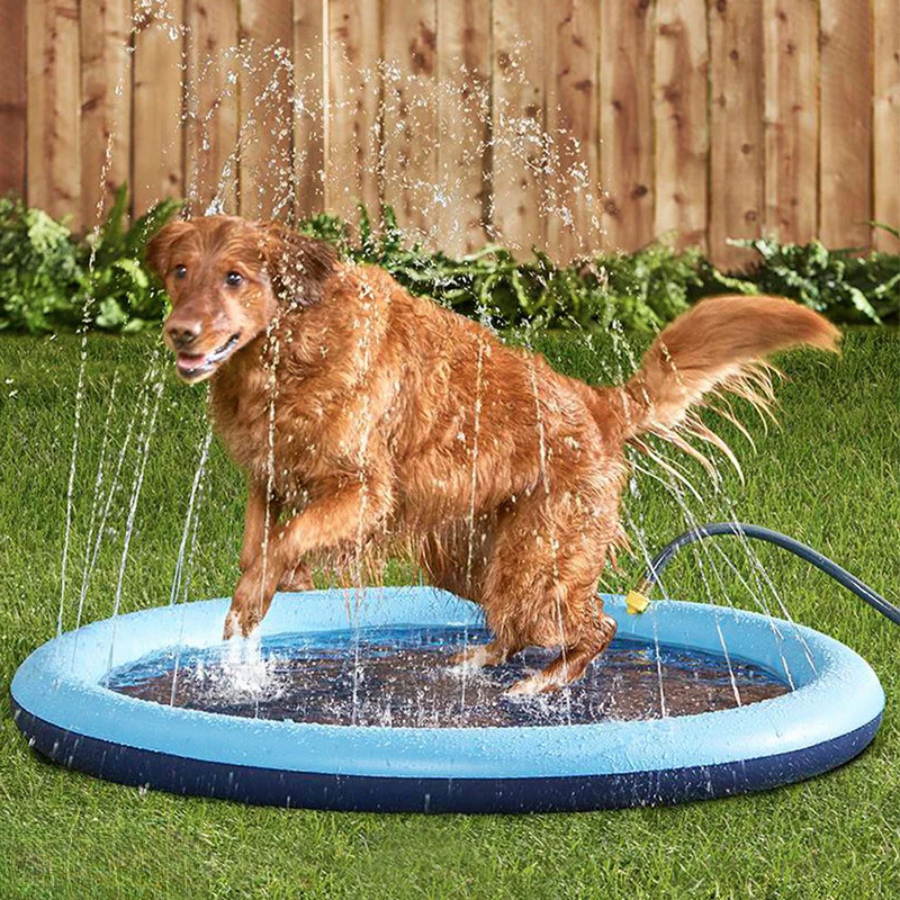 Glad hund leker i et avkjølende sprinklerbasseng, ideelt for sommer og utendørs vannlek for kjæledyr.