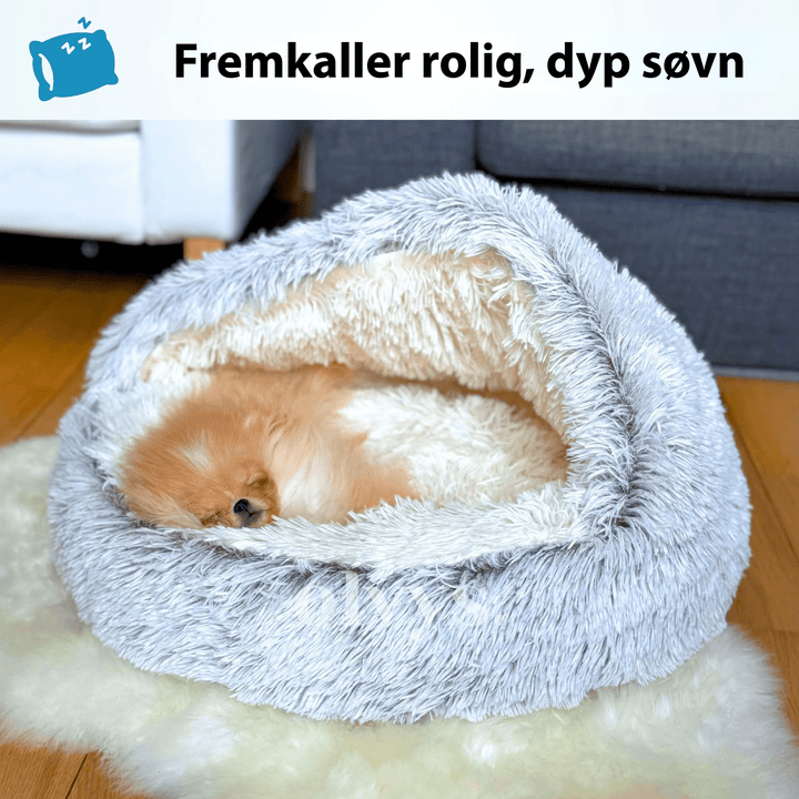 Komfortabel katteseng med hette, ortopedisk støtte og beroligende plysj for katten.