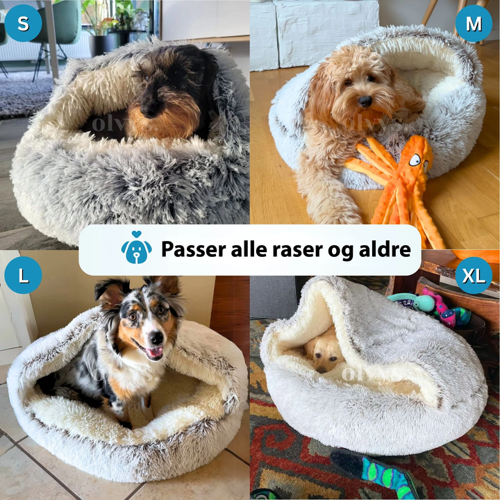 Beroligende kjæledyrseng med hette, ortopedisk design for avslappet søvn for hund og katt.