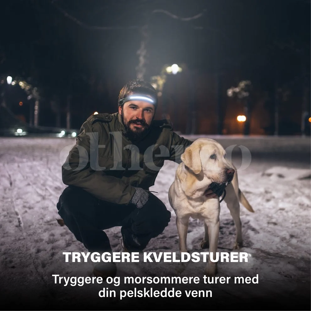 Mekaniker bruker Othemo 230° LED-hodelykt for nattarbeid, ideelt vanntett arbeidslys for detaljer.