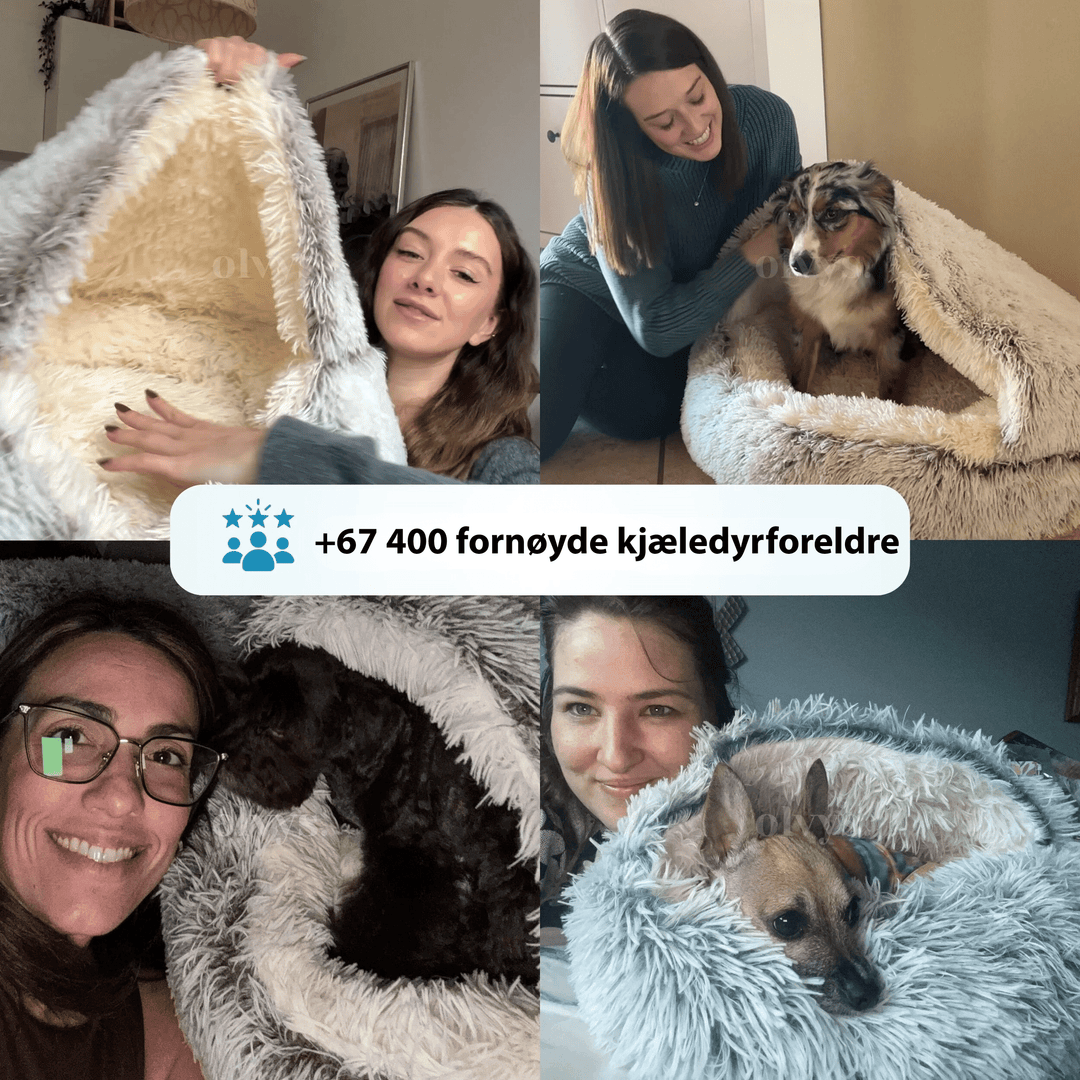 Kjæledyrutstyr: Varm og myk hundeseng med hette, perfekt for kos og dyp søvn.