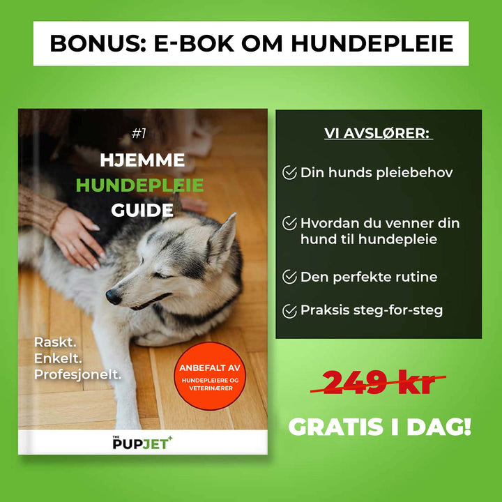 Glad hund med ren pels etter bruk av hundevasker og sjamposprayer, et must for enkel og effektiv hundepleie.