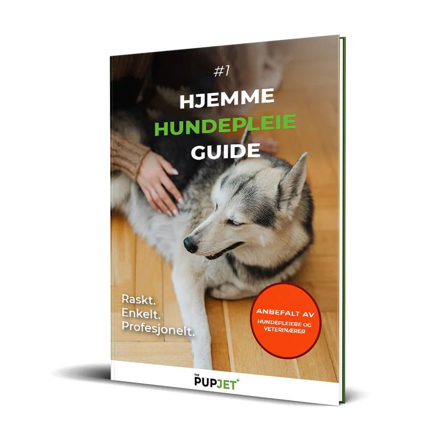 Håndholder hundevasker og sjamposprayer med ergonomisk grep for komfortabel og rask hundepleie og pelsstell.