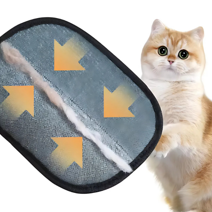 Myke dyreutstyrshansker som gir en behagelig massasje mens de effektivt fjerner pels.