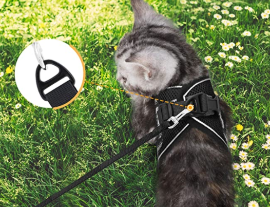 Sett med kattesele og bånd for eventyrkatter. Gjør utendørsturer trygge og morsomme for din katt.
