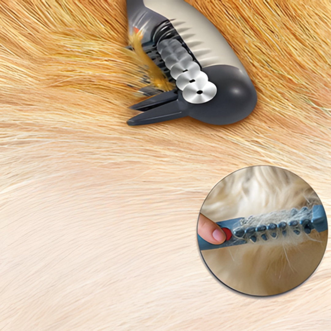 Katt nyter skånsom pelsstell med den effektive flokefjerneren, en dyrepleie trimmer.