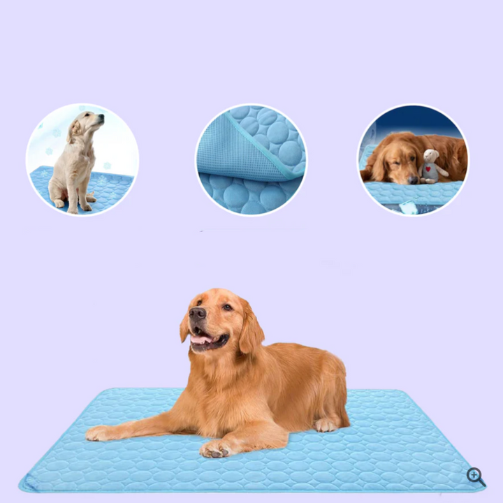 Innovativ kjølematte til hund for maksimal komfort. Perfekt for svale kjæledyr innendørs og utendørs.