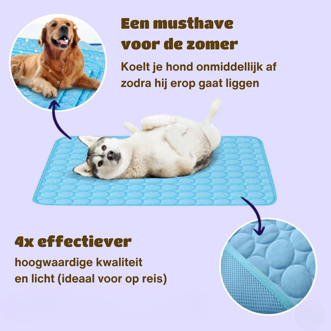 Detaljbilde av hundens kjølematte. Viser svalende overflate for optimal komfort og avkjøling.