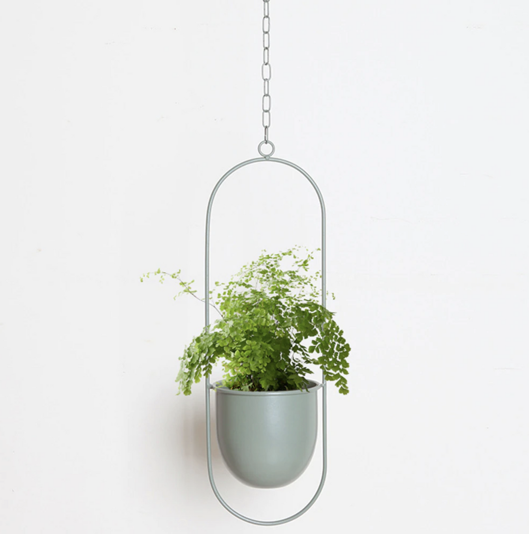 Funksjonell og dekorativ veggmontert planteholder. Sparer plass og fremhever planter elegant.