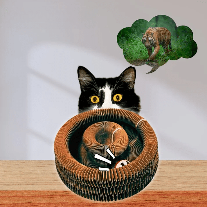 Miljøvennlig interaktiv kattelek, ideell for alle katter og kattunger. Et must for katteutstyr.