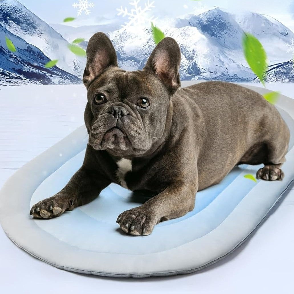 Grå ergonomisk kjæledyrseng for optimal komfort til hund og katt. Myk, støttende soveplass for valper.