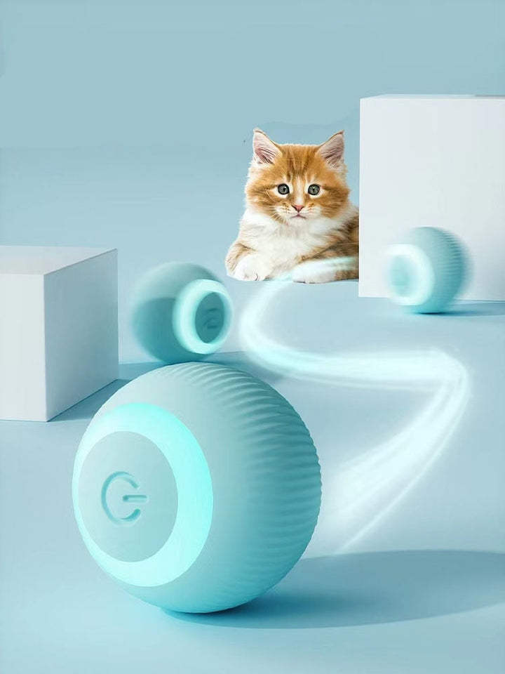Kattunge utforsker interaktiv gravitasjonsball. Sikker og stimulerende innendørs leke for små katter.