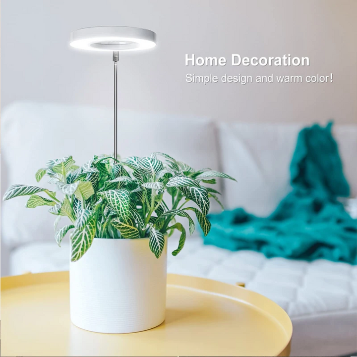 Hvit justerbar LED vekstlampe med klips; ideell for små innendørs planter på hylle.