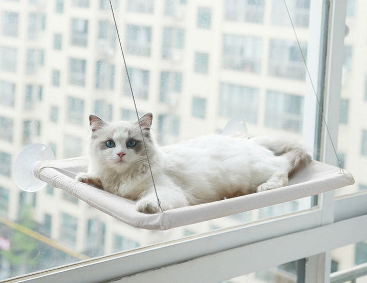 Kjæledyrvennlig design: Hengekøye for vindu med sterk sugekoppfeste, gir din katt en favorittplass.