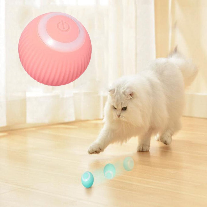 Automatisk katteball i myk silikon, perfekt for stimulering og underholdning av katter. Langvarig moro.