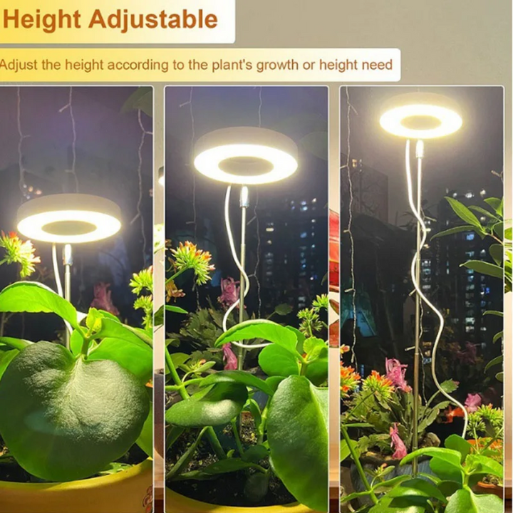 Vekstlampe med justerbar arm og fullspektrum LED; sikrer optimalt lys for innendørs planter.