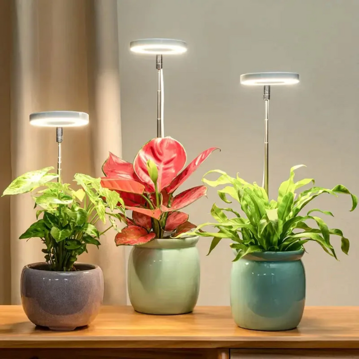 Kompakt og justerbar LED vekstlampe; perfekt for effektiv innendørs plantefyrking.