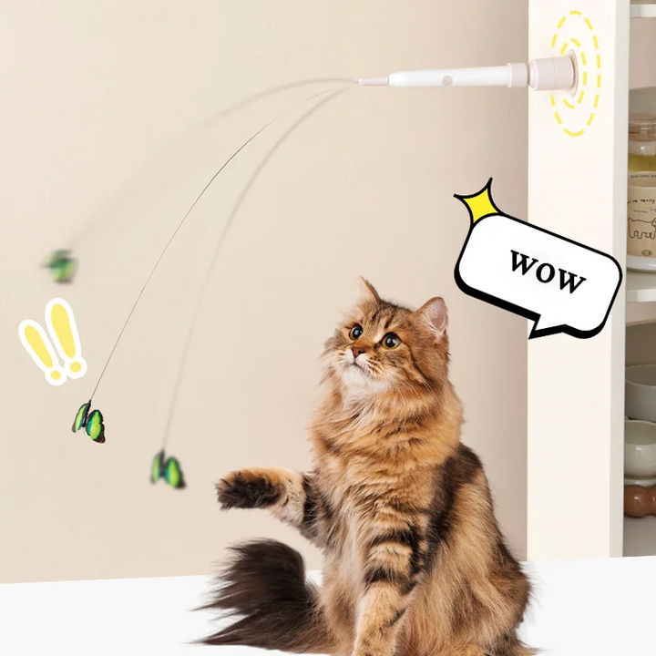 Dansende sommerfugl leke som vekker kattens jaktinstinkt. Interaktiv aktivitetsleke for mental stimulering.