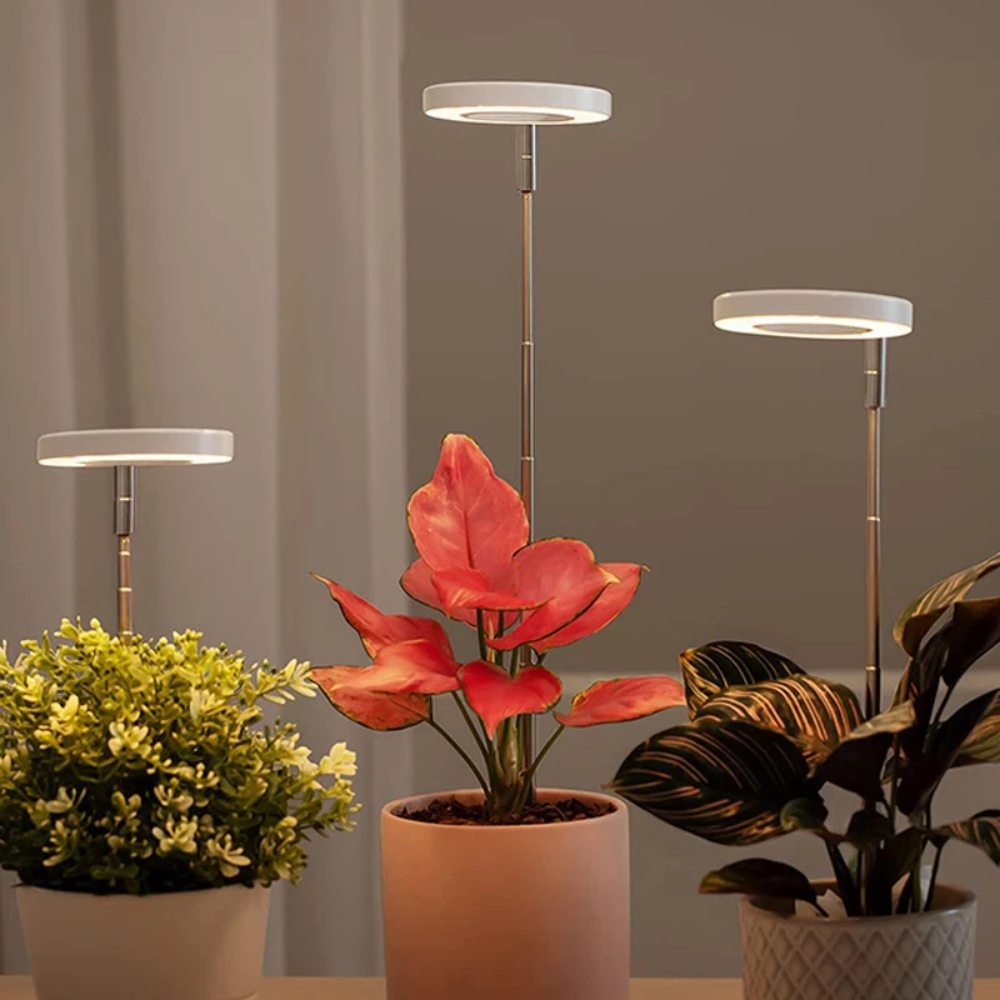 Fullspektrum LED vekstlys som støtter plantenes fotosyntese og vekst i hjemmet.