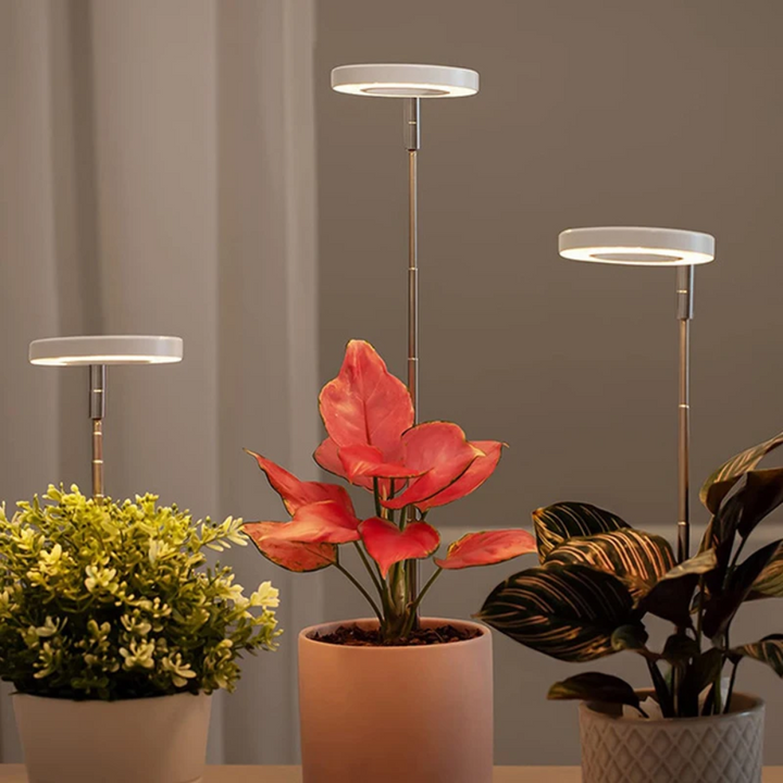 Fullspektrum LED vekstlys som støtter plantenes fotosyntese og vekst i hjemmet.