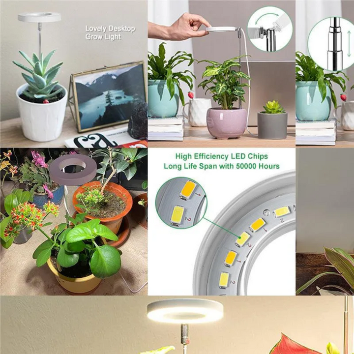 Sett med justerbare LED vekstlamper som lyser opp et innendørs hageprosjekt.