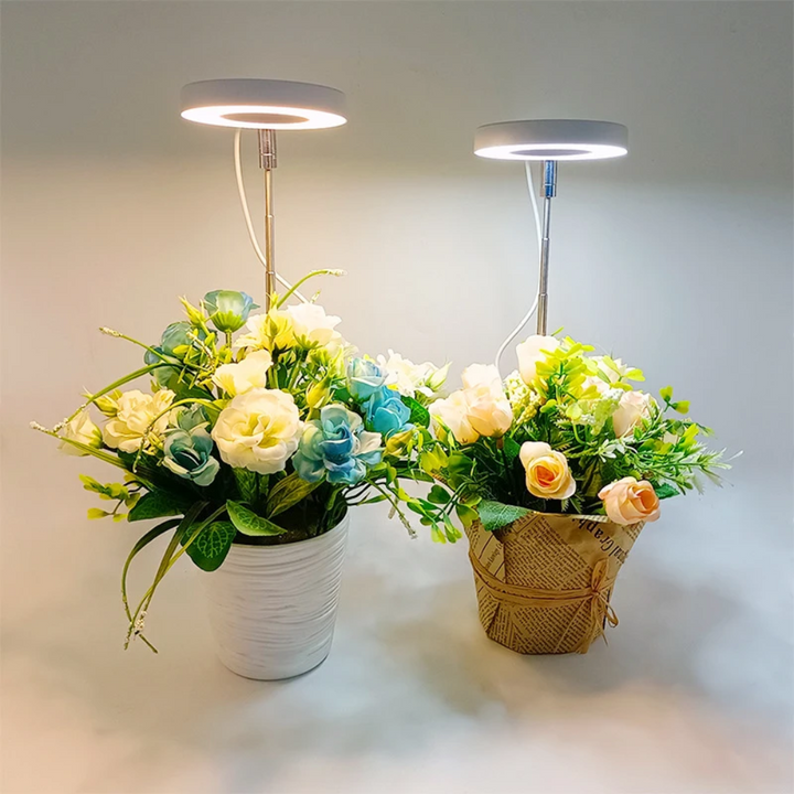 Sølvfarget, justerbar LED vekstlampe over en rekke potteplanter; akselererer veksten.
