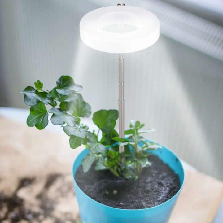Justerbart plantelys med LED teknologi; essensielt plantetilbehør for sunne planter.